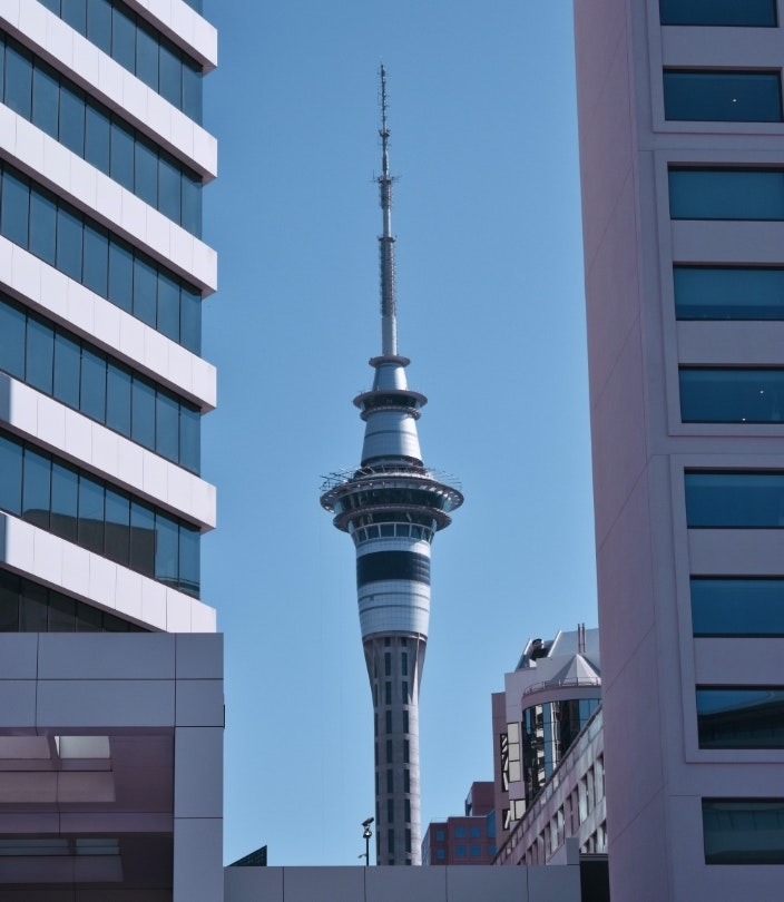 Annebell dogger R Lt By82k41 U unsplash