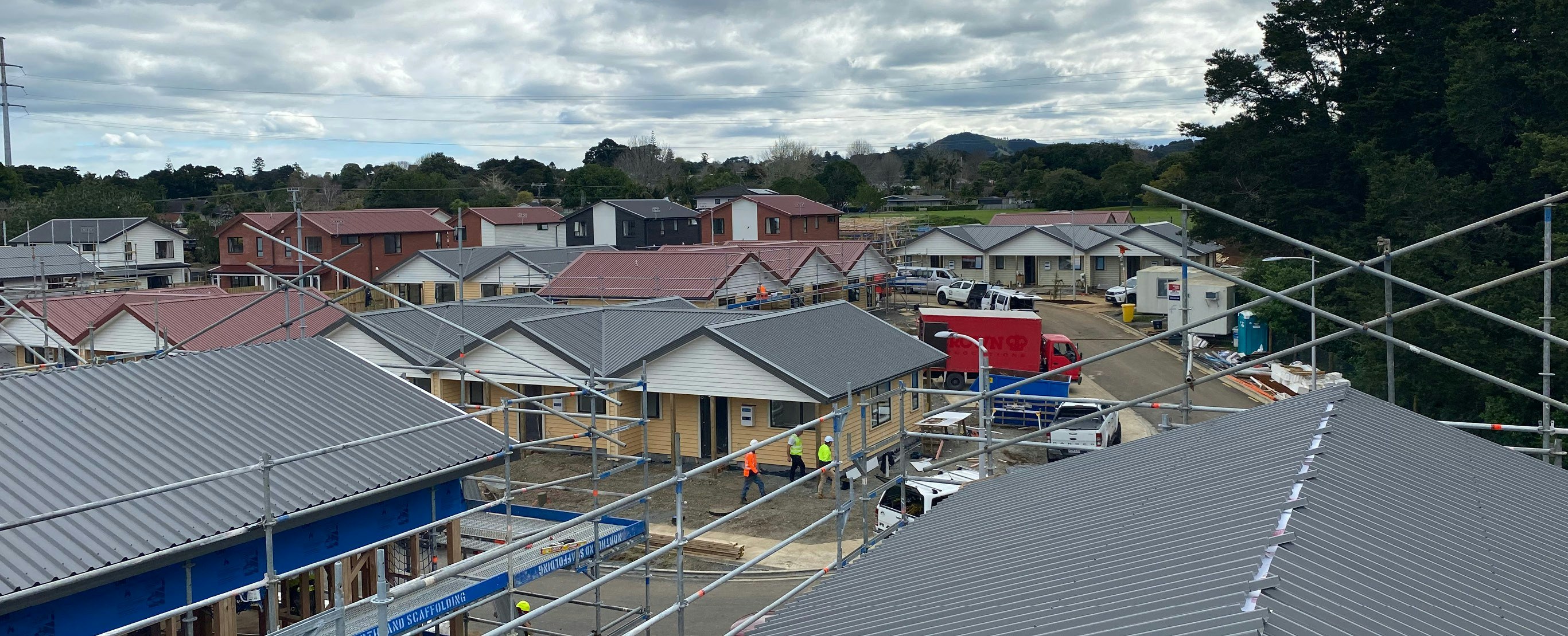 Hero Image Puriri Park